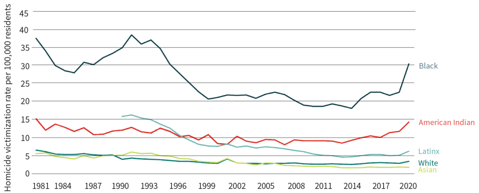 Homicide Victimization Rates by Race and Ethnicity
